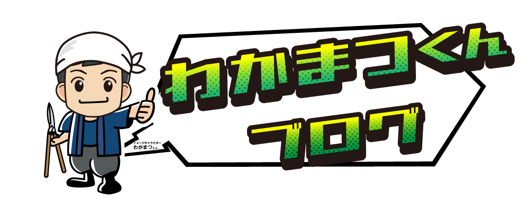 わかまつくんブログ